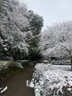 伦敦圣诞节前的下雪❄️你有catch到吗？